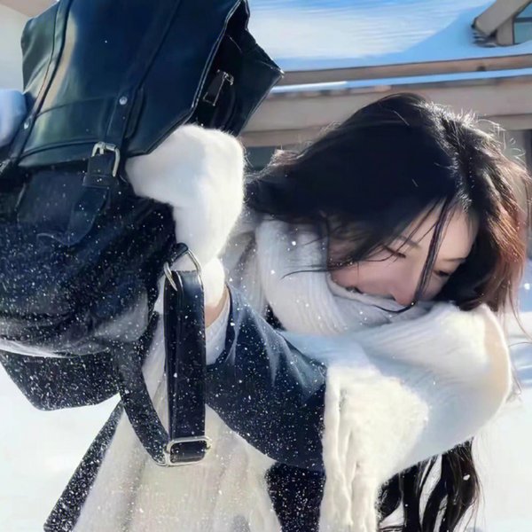 基督山之子