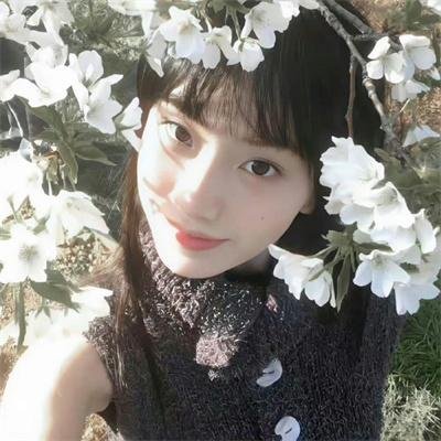 干探群英粤语